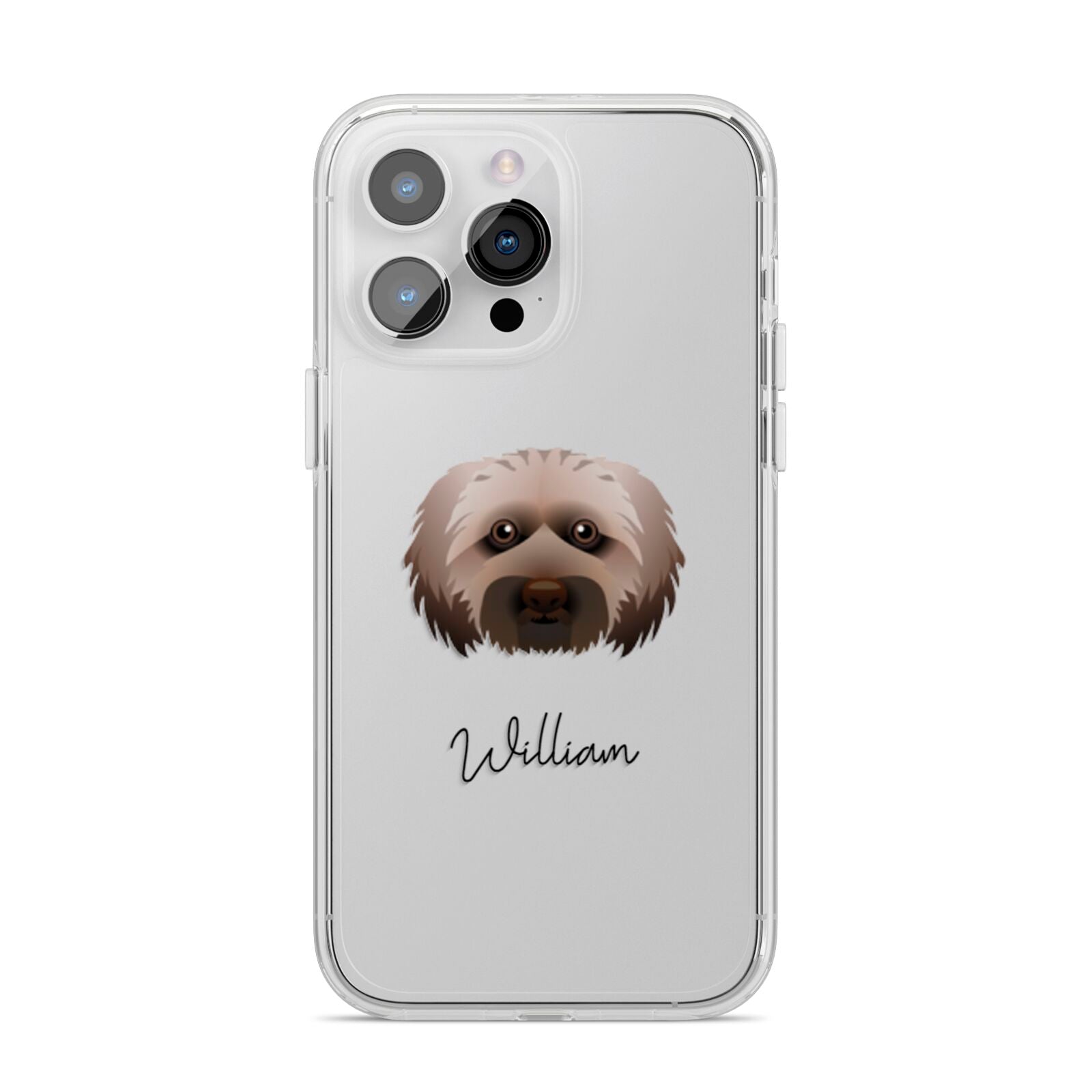 Doxiepoo Personalised iPhone 14 Pro Max Clear Tough Case Silver