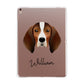 English Coonhound Personalised Apple iPad Rose Gold Case