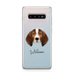 English Coonhound Personalised Samsung Galaxy S10 Plus Case