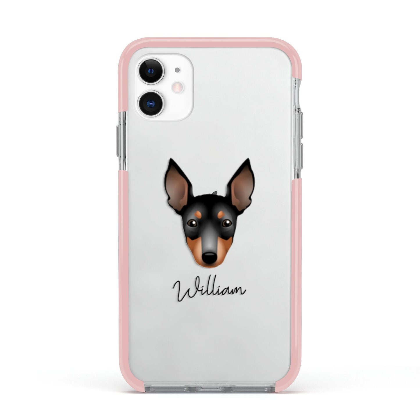 English Toy Terrier Personalised Apple iPhone 11 in White with Pink Impact Case