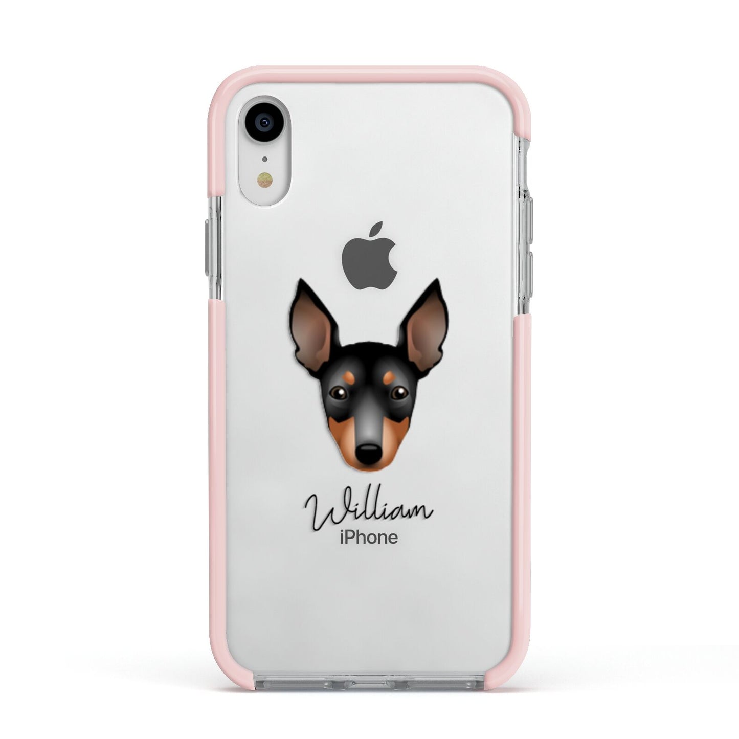 English Toy Terrier Personalised Apple iPhone XR Impact Case Pink Edge on Silver Phone