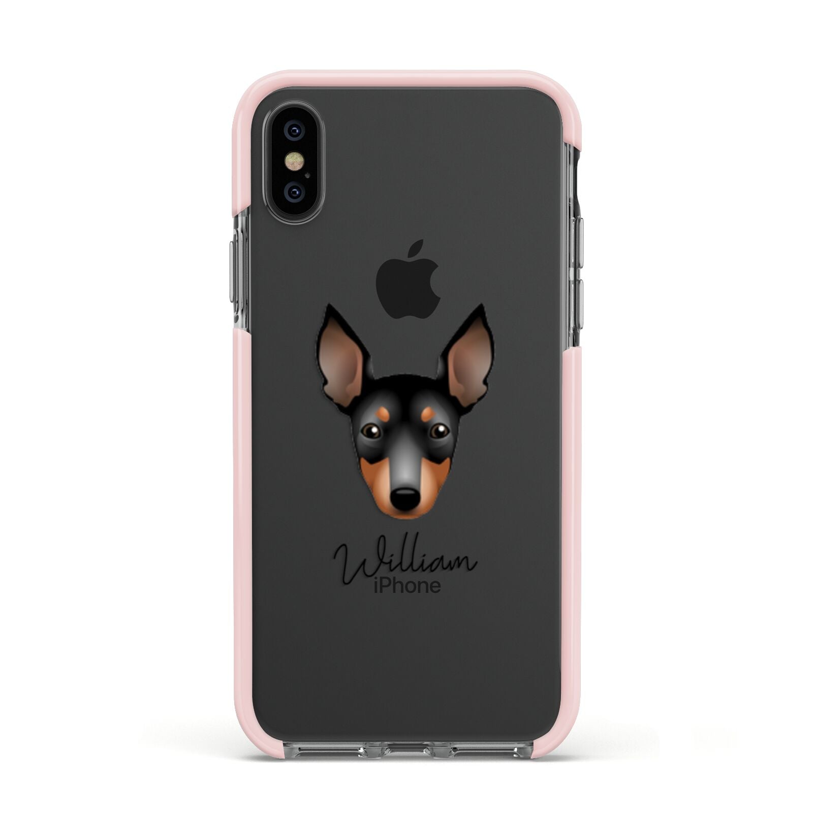 English Toy Terrier Personalised Apple iPhone Xs Impact Case Pink Edge on Black Phone