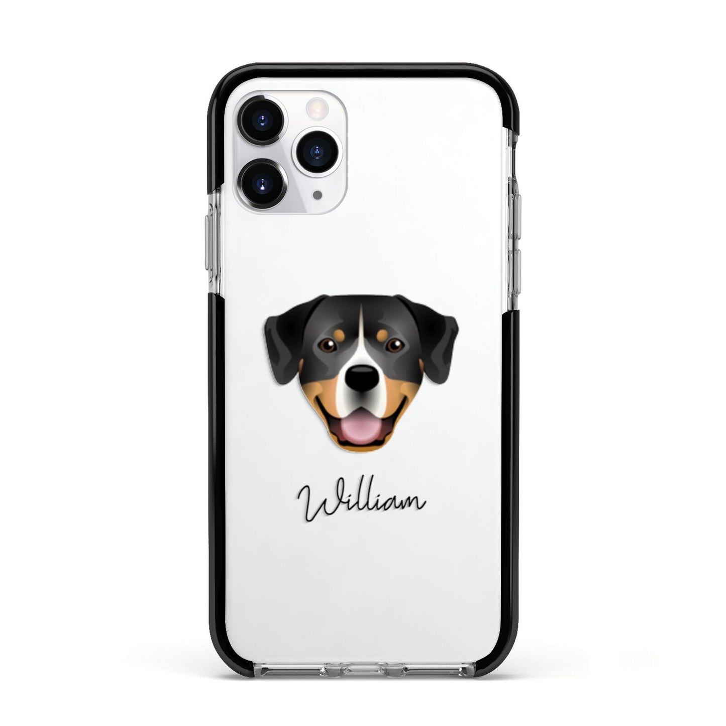 Entlebucher Mountain Dog Personalised Apple iPhone 11 Pro in Silver with Black Impact Case