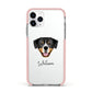 Entlebucher Mountain Dog Personalised Apple iPhone 11 Pro in Silver with Pink Impact Case