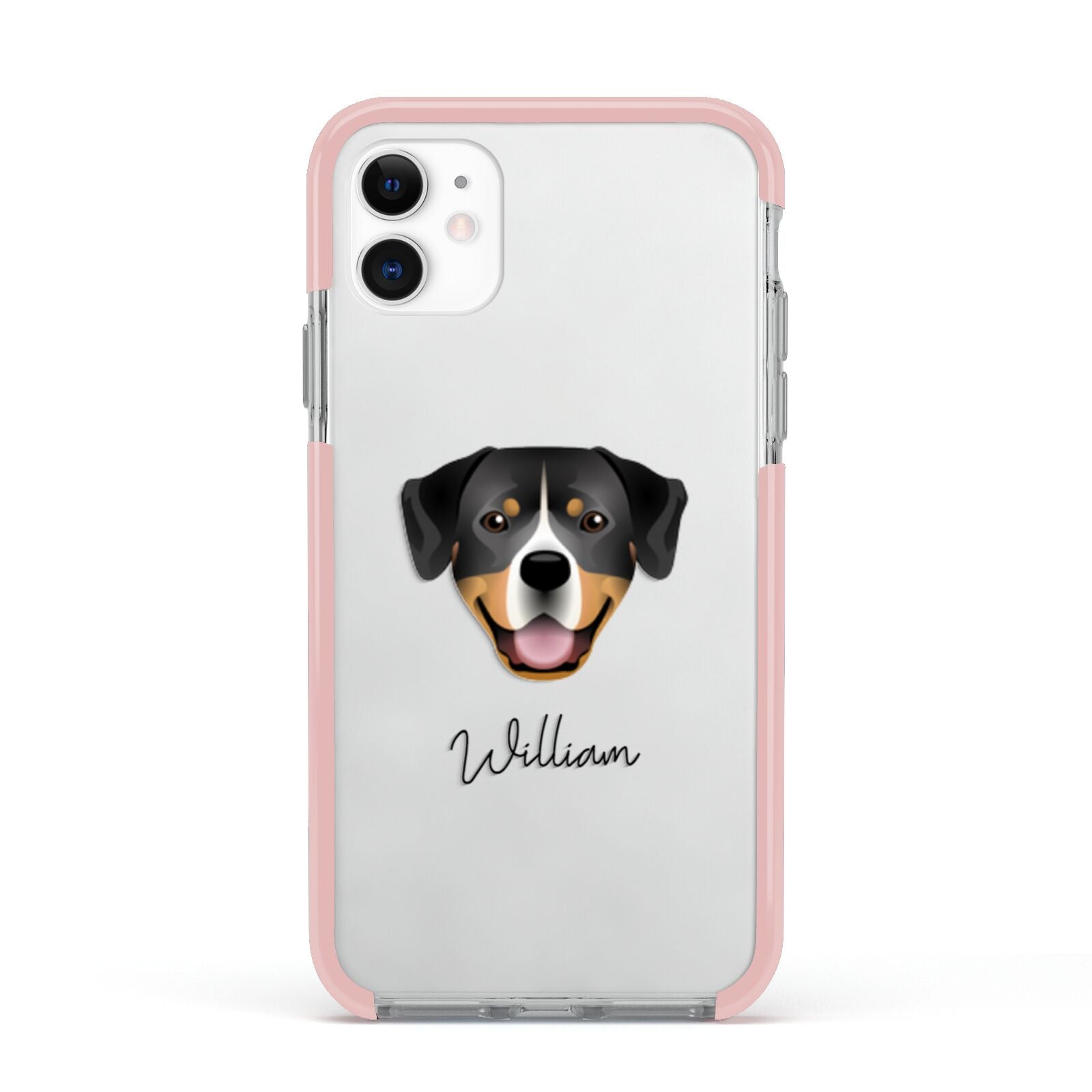 Entlebucher Mountain Dog Personalised Apple iPhone 11 in White with Pink Impact Case