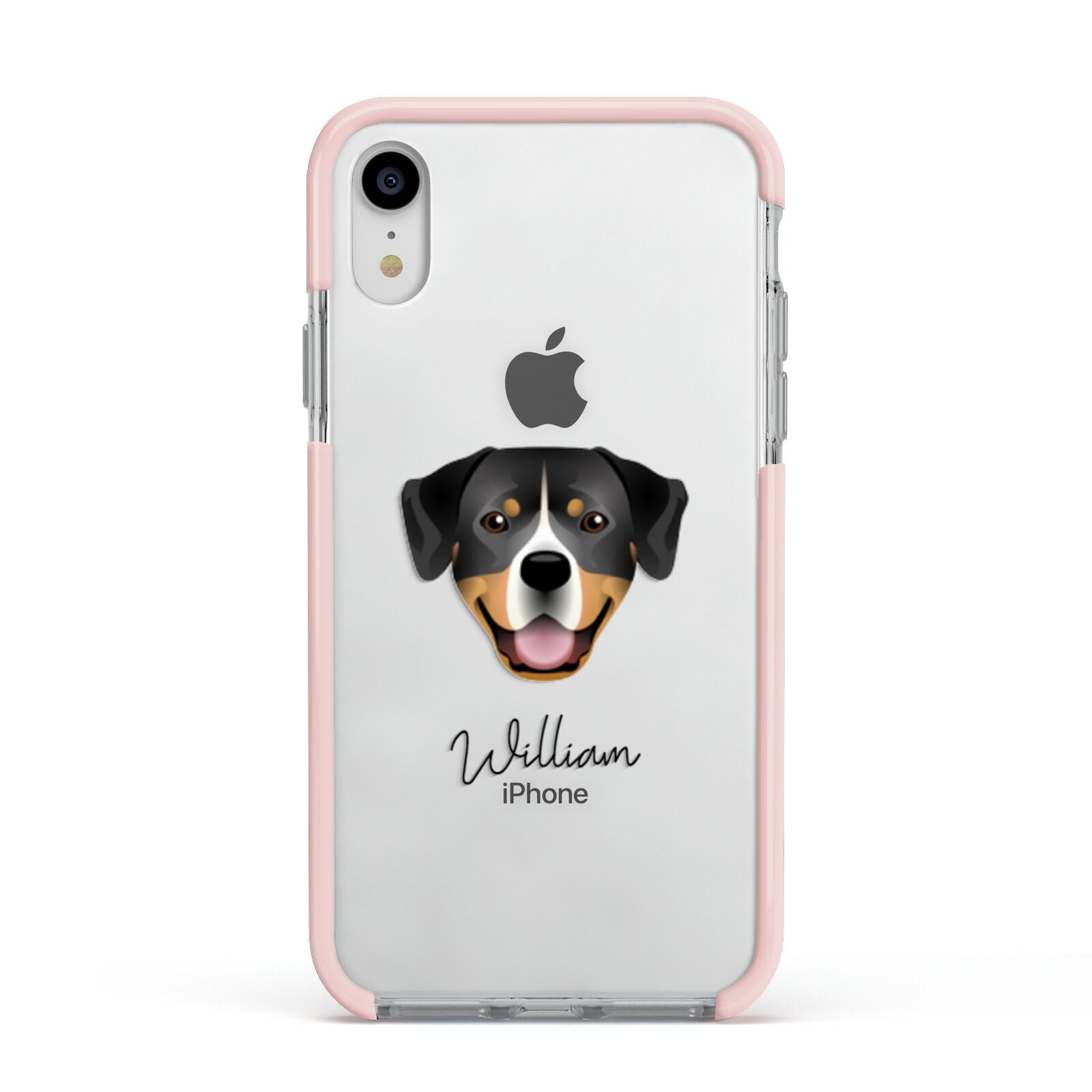 Entlebucher Mountain Dog Personalised Apple iPhone XR Impact Case Pink Edge on Silver Phone