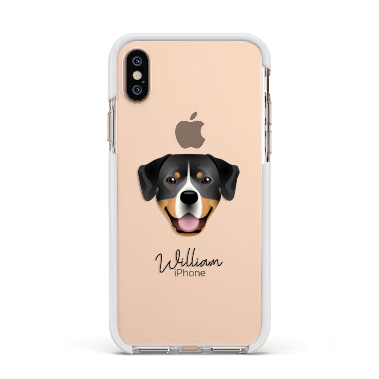 Entlebucher Mountain Dog Personalised Apple iPhone Xs Impact Case White Edge on Gold Phone