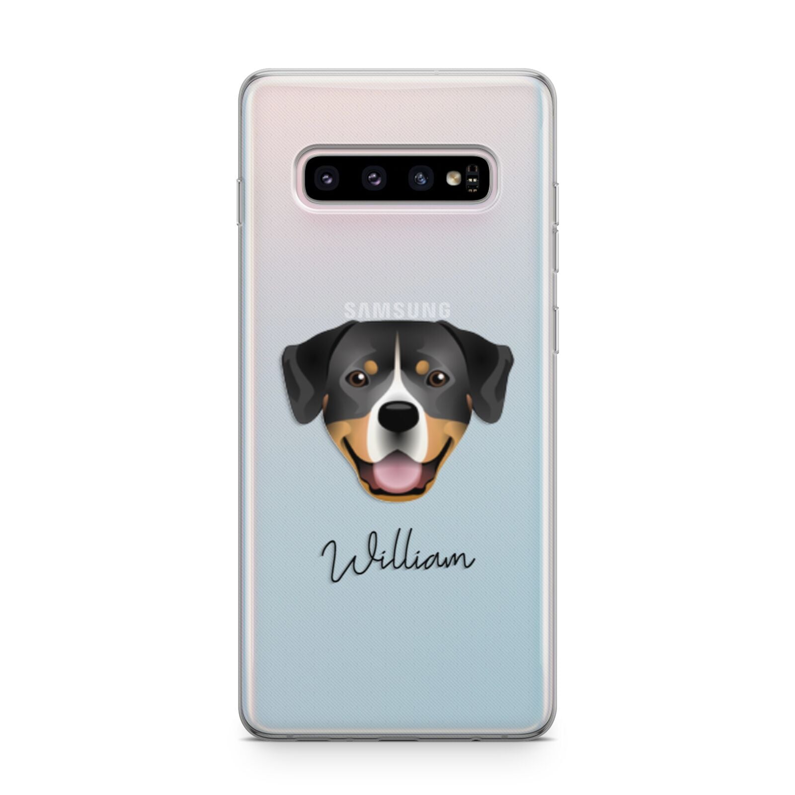 Entlebucher Mountain Dog Personalised Samsung Galaxy S10 Plus Case