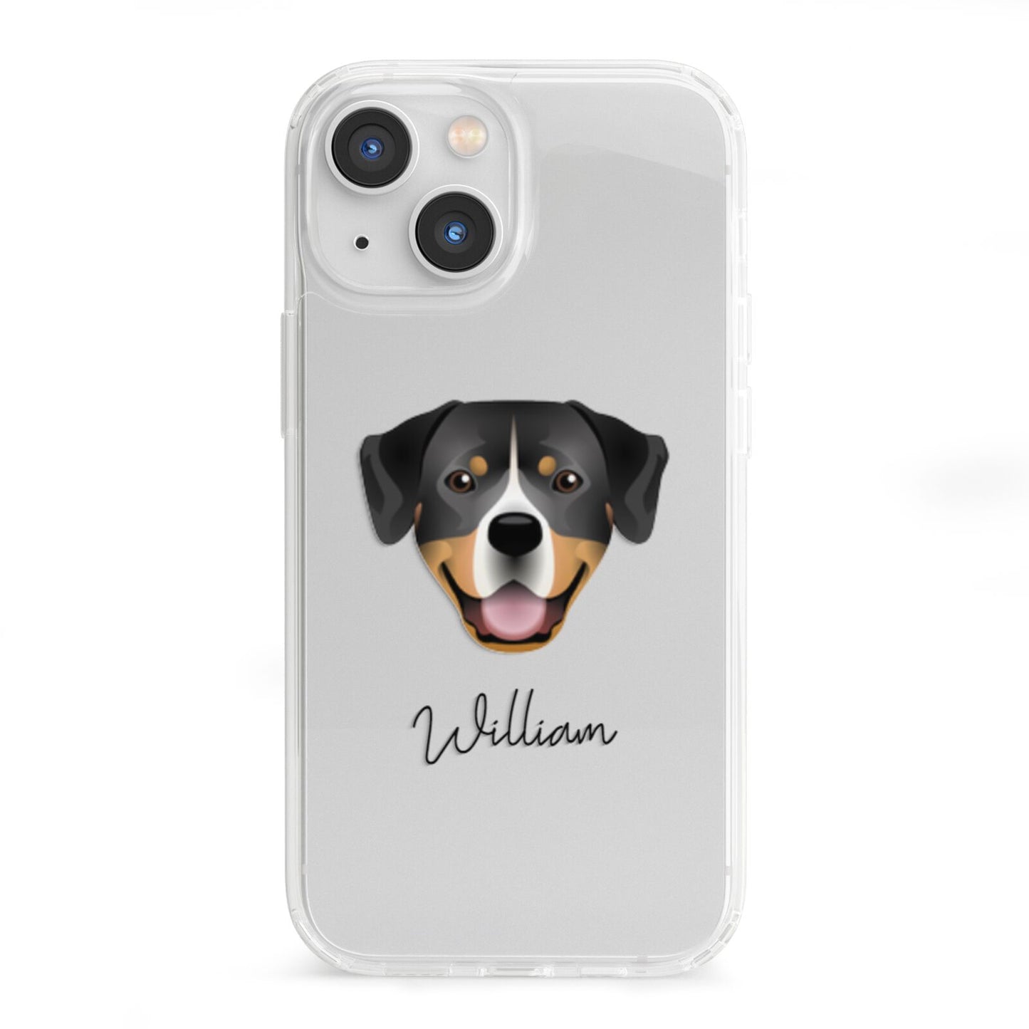 Entlebucher Mountain Dog Personalised iPhone 13 Mini Clear Bumper Case