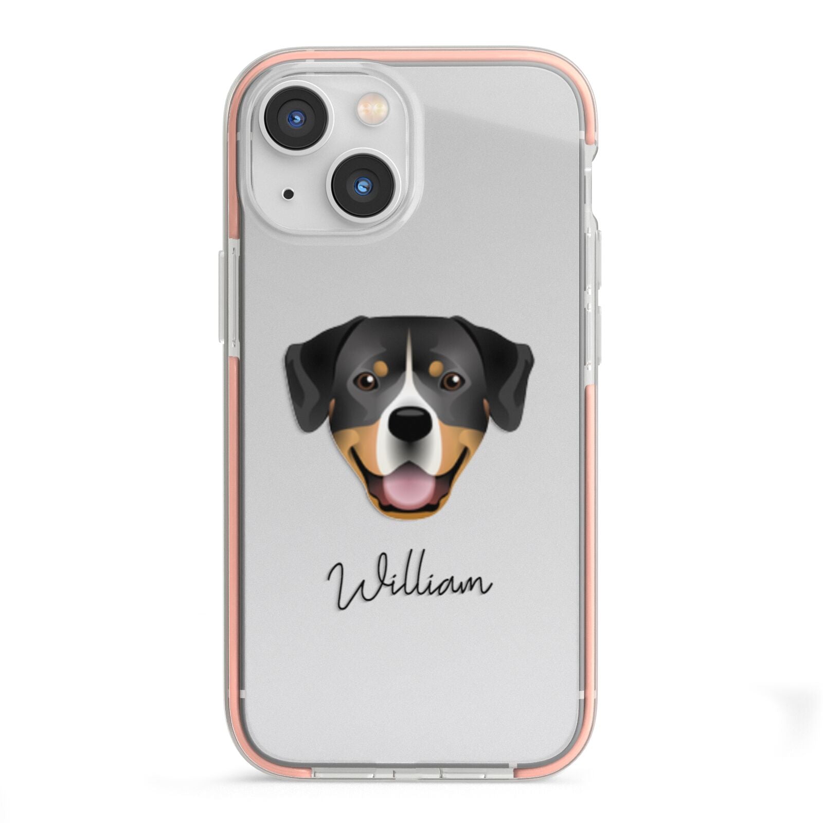 Entlebucher Mountain Dog Personalised iPhone 13 Mini TPU Impact Case with Pink Edges