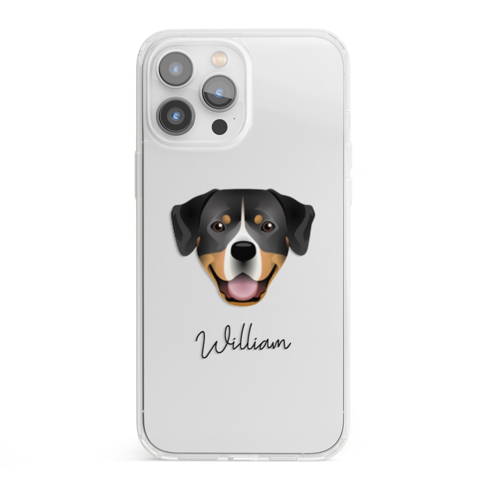 Entlebucher Mountain Dog Personalised iPhone 13 Pro Max Clear Bumper Case