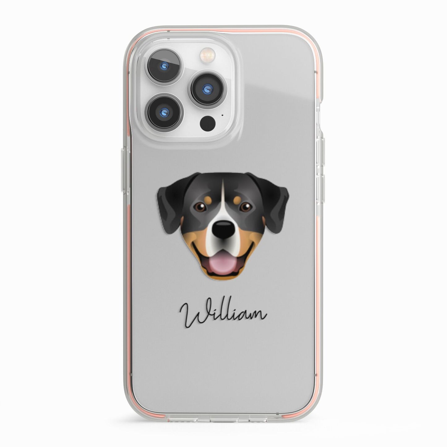 Entlebucher Mountain Dog Personalised iPhone 13 Pro TPU Impact Case with Pink Edges