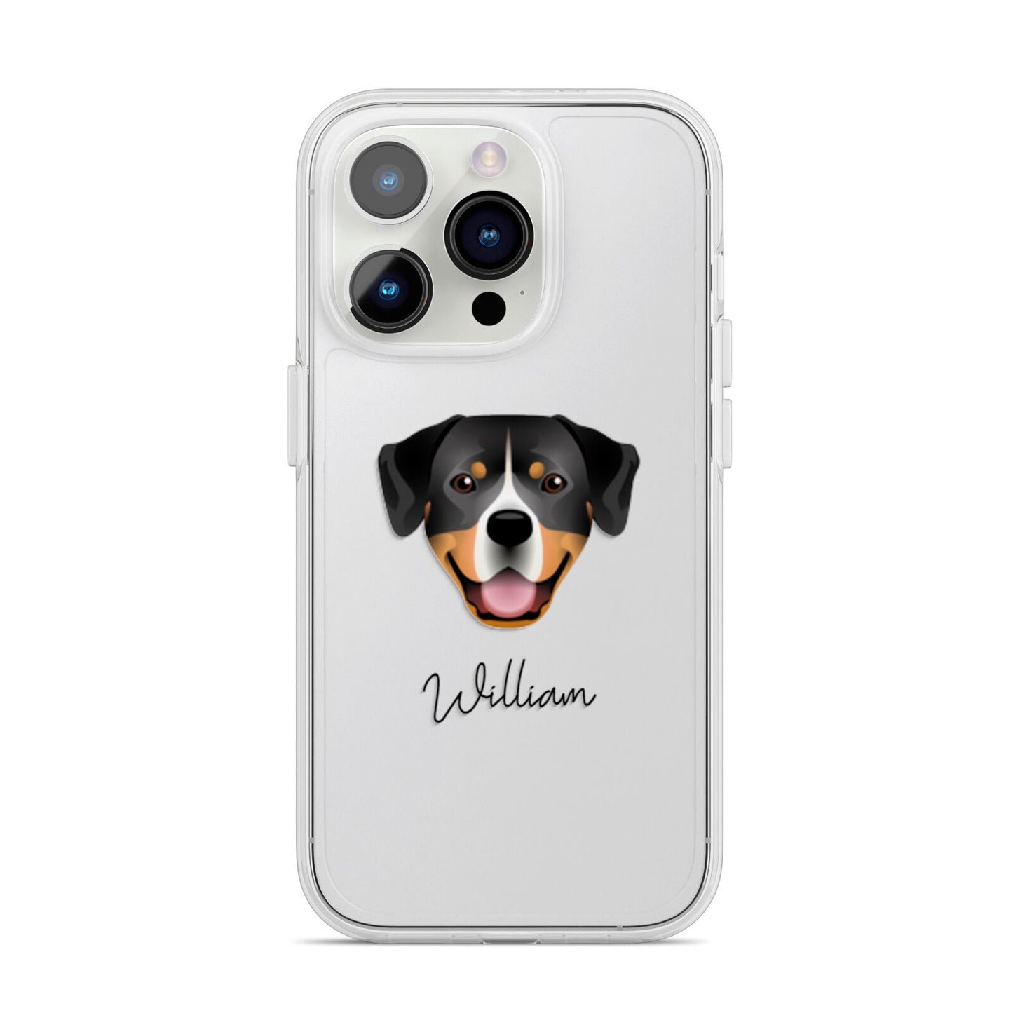 Entlebucher Mountain Dog Personalised iPhone 14 Pro Clear Tough Case Silver
