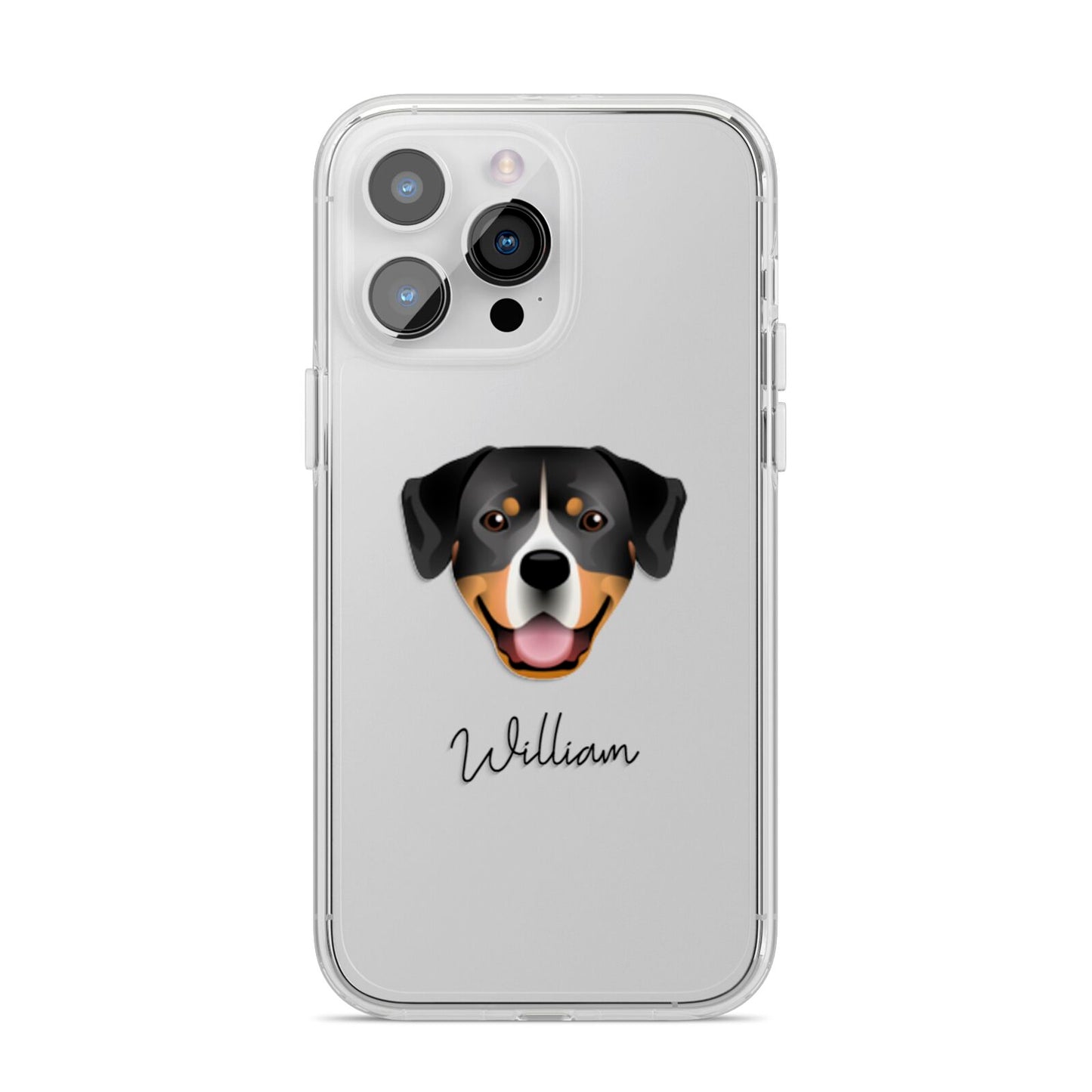 Entlebucher Mountain Dog Personalised iPhone 14 Pro Max Clear Tough Case Silver