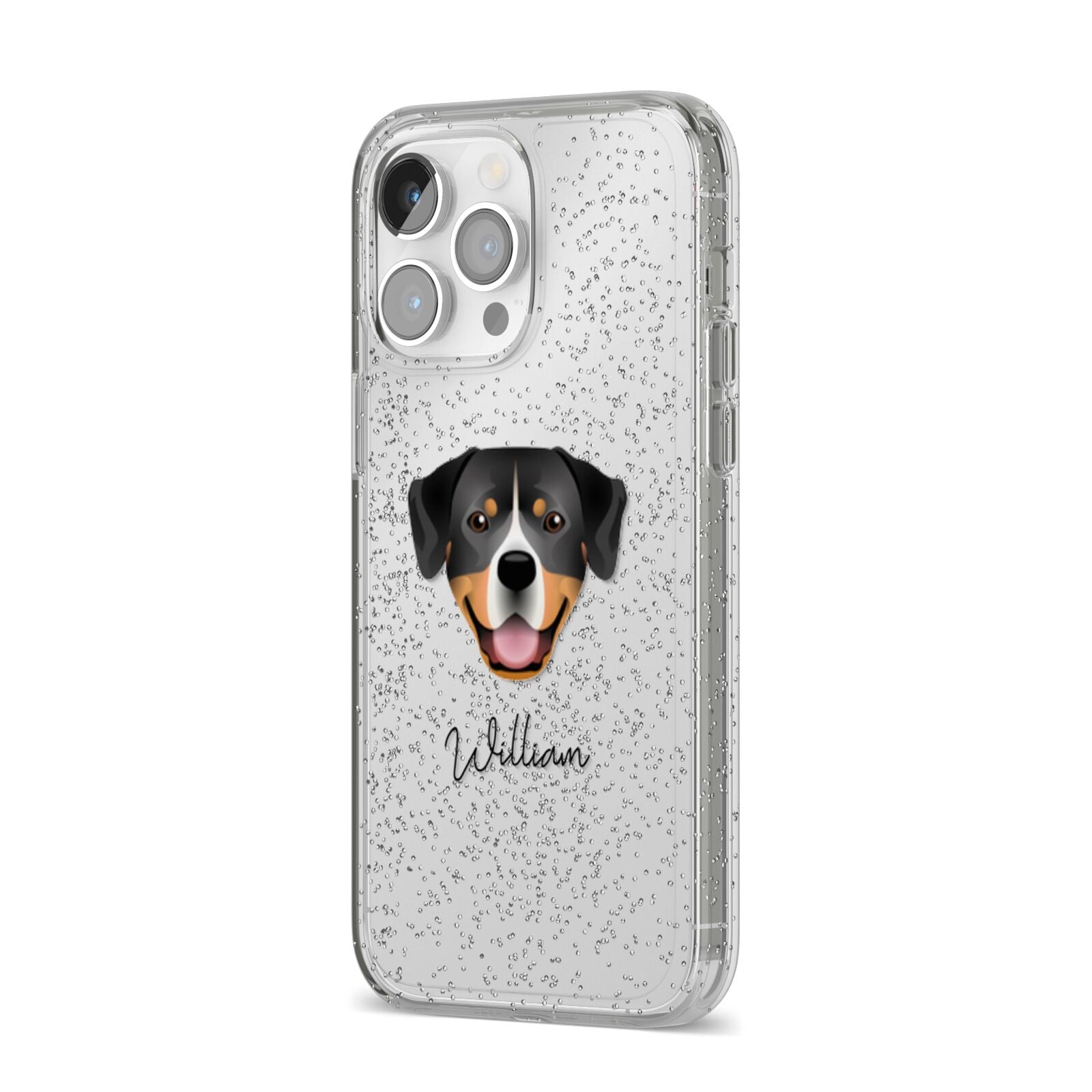 Entlebucher Mountain Dog Personalised iPhone 14 Pro Max Glitter Tough Case Silver Angled Image
