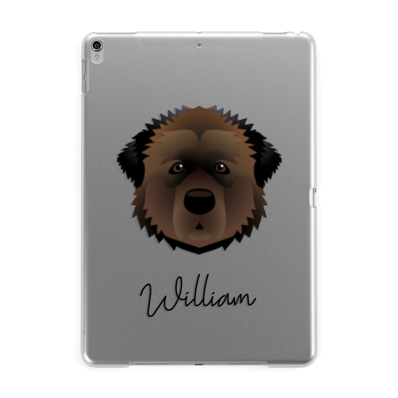 Estrela Mountain Dog Personalised Apple iPad Silver Case