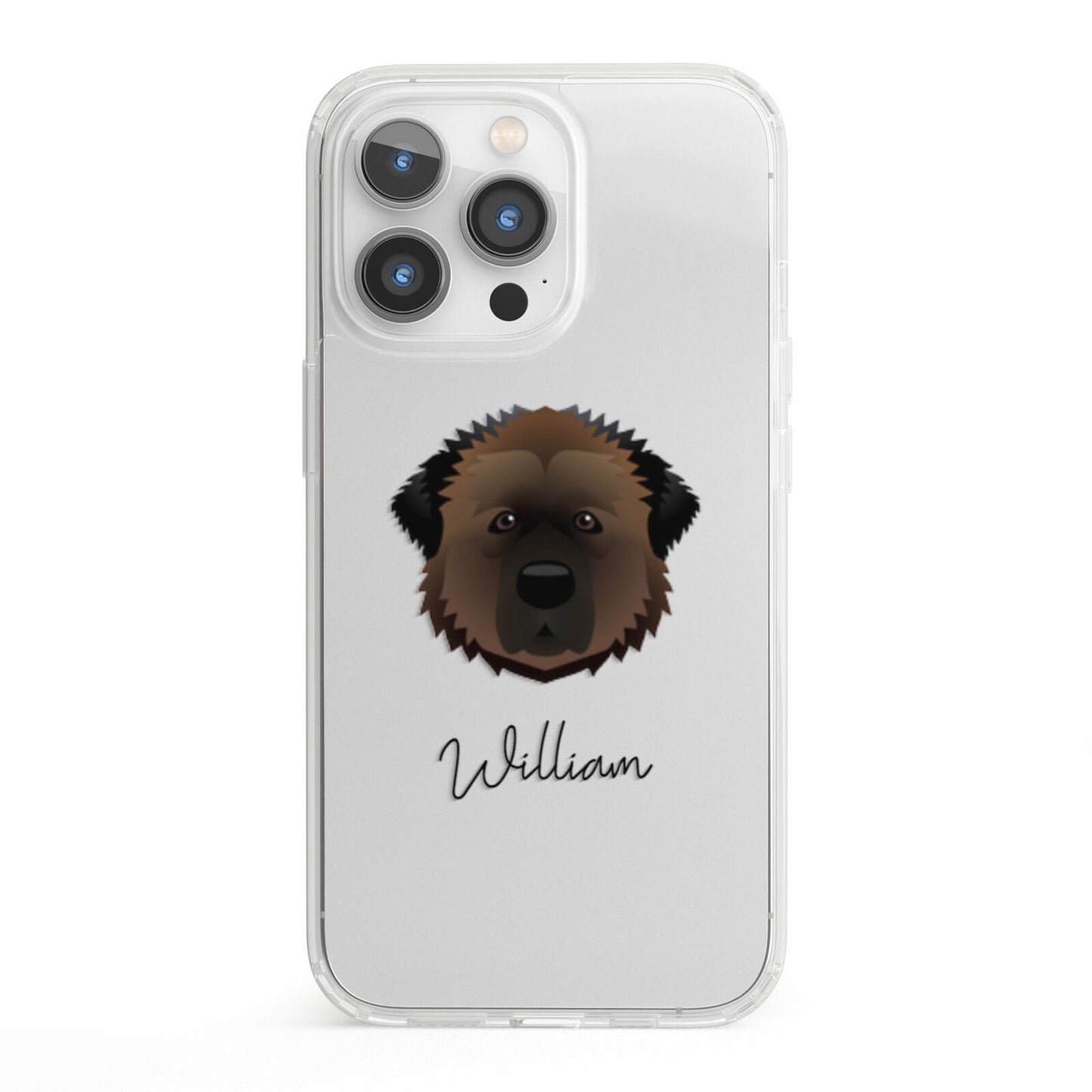 Estrela Mountain Dog Personalised iPhone 13 Pro Clear Bumper Case