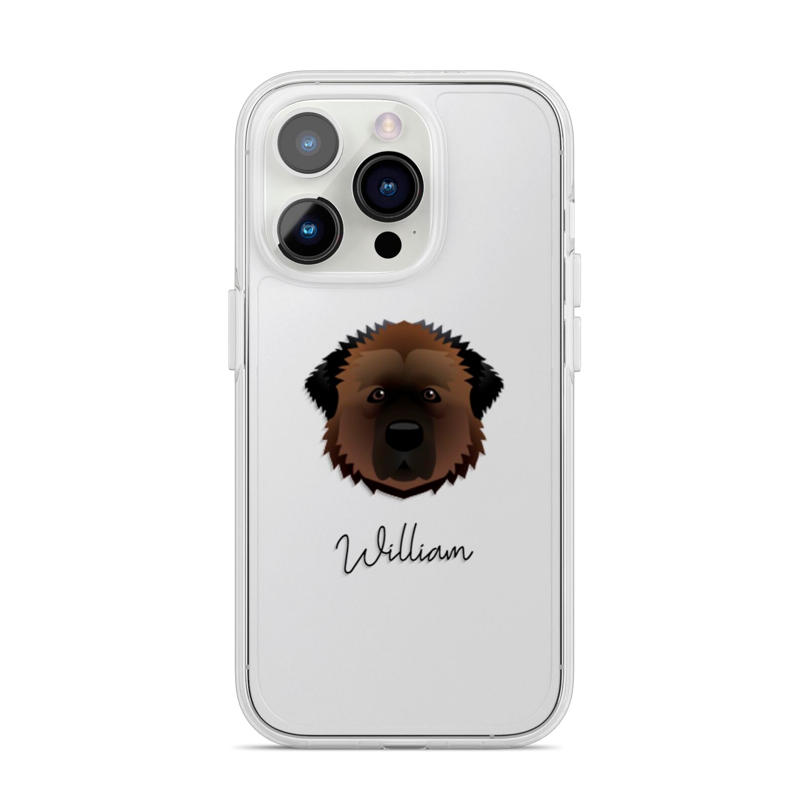 Estrela Mountain Dog Personalised iPhone 14 Pro Clear Tough Case Silver