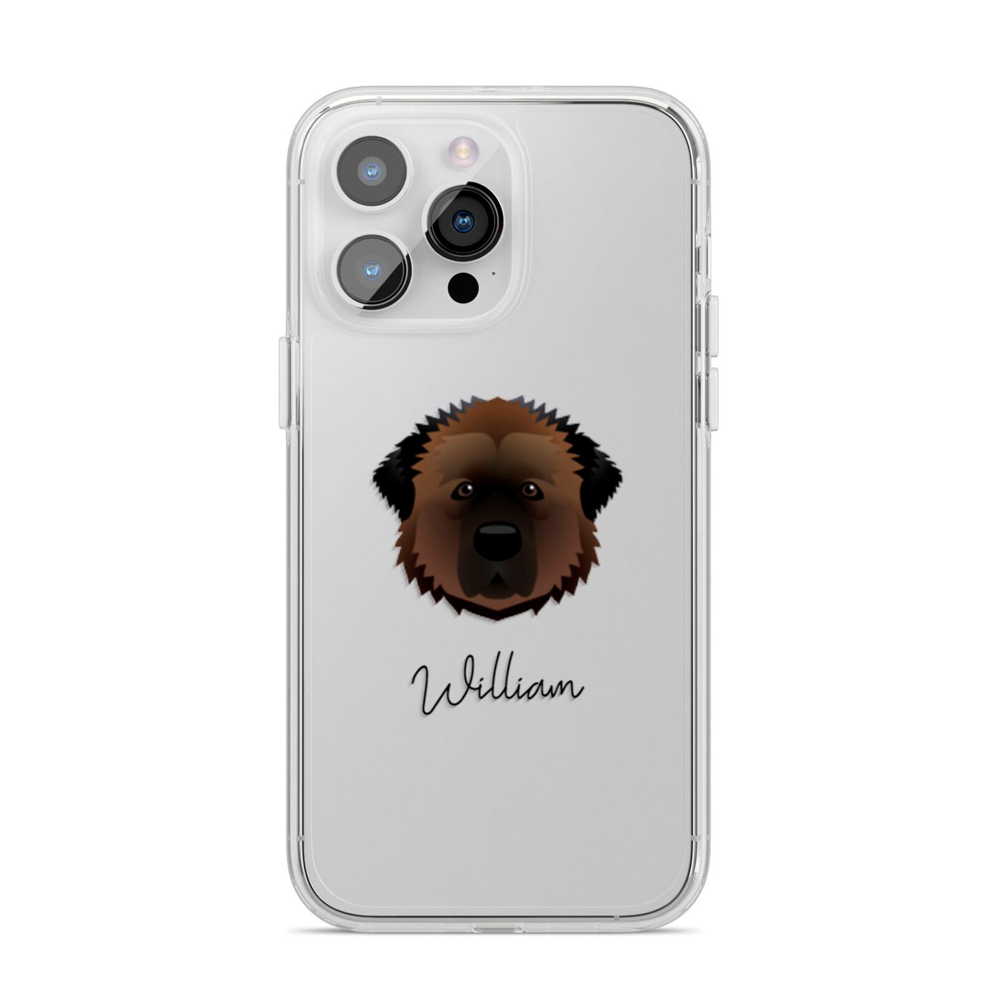 Estrela Mountain Dog Personalised iPhone 14 Pro Max Clear Tough Case Silver