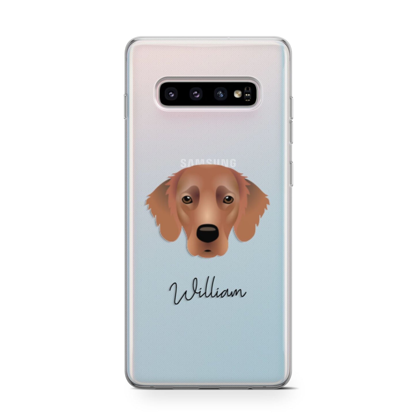 Flat Coated Retriever Personalised Samsung Galaxy S10 Case