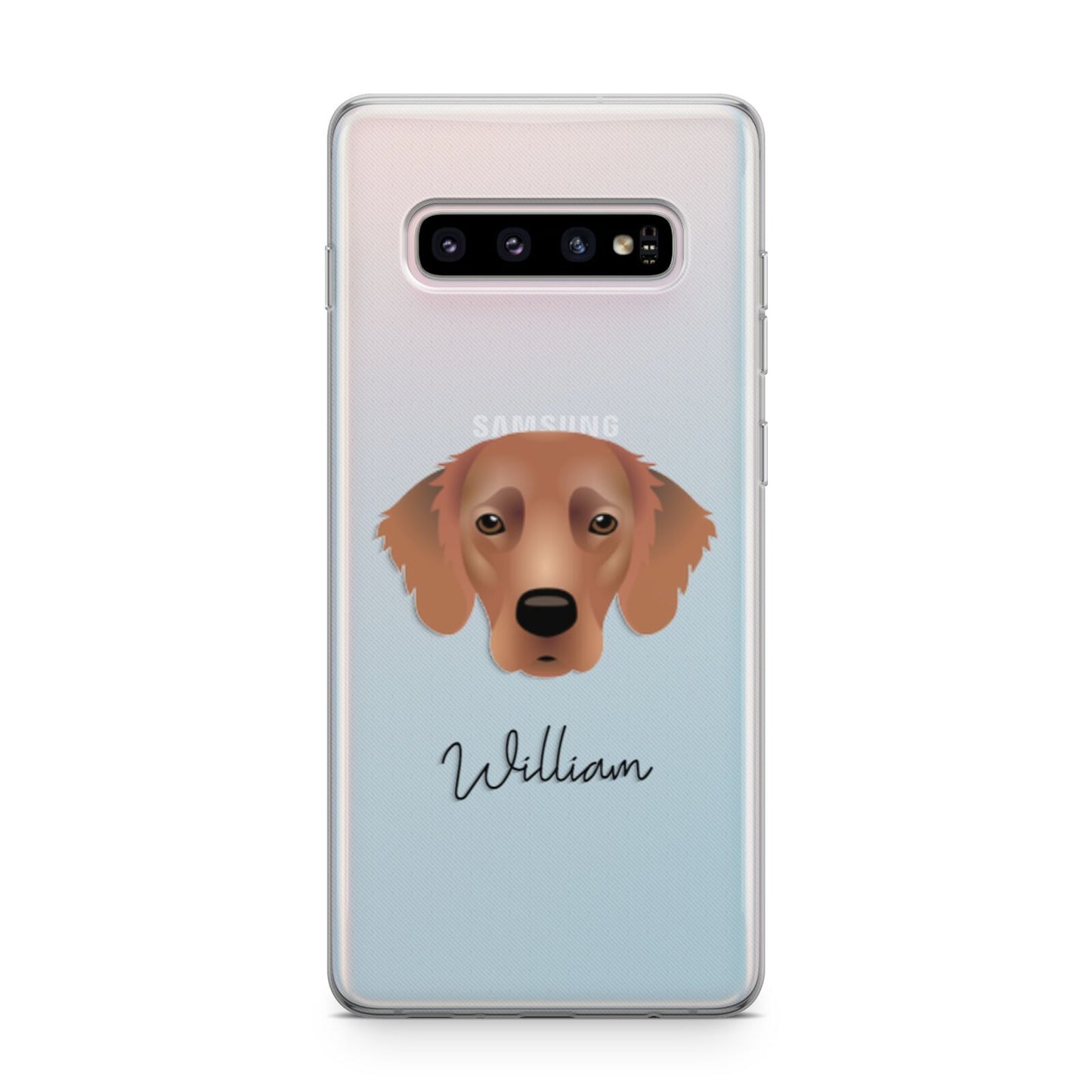Flat Coated Retriever Personalised Samsung Galaxy S10 Plus Case