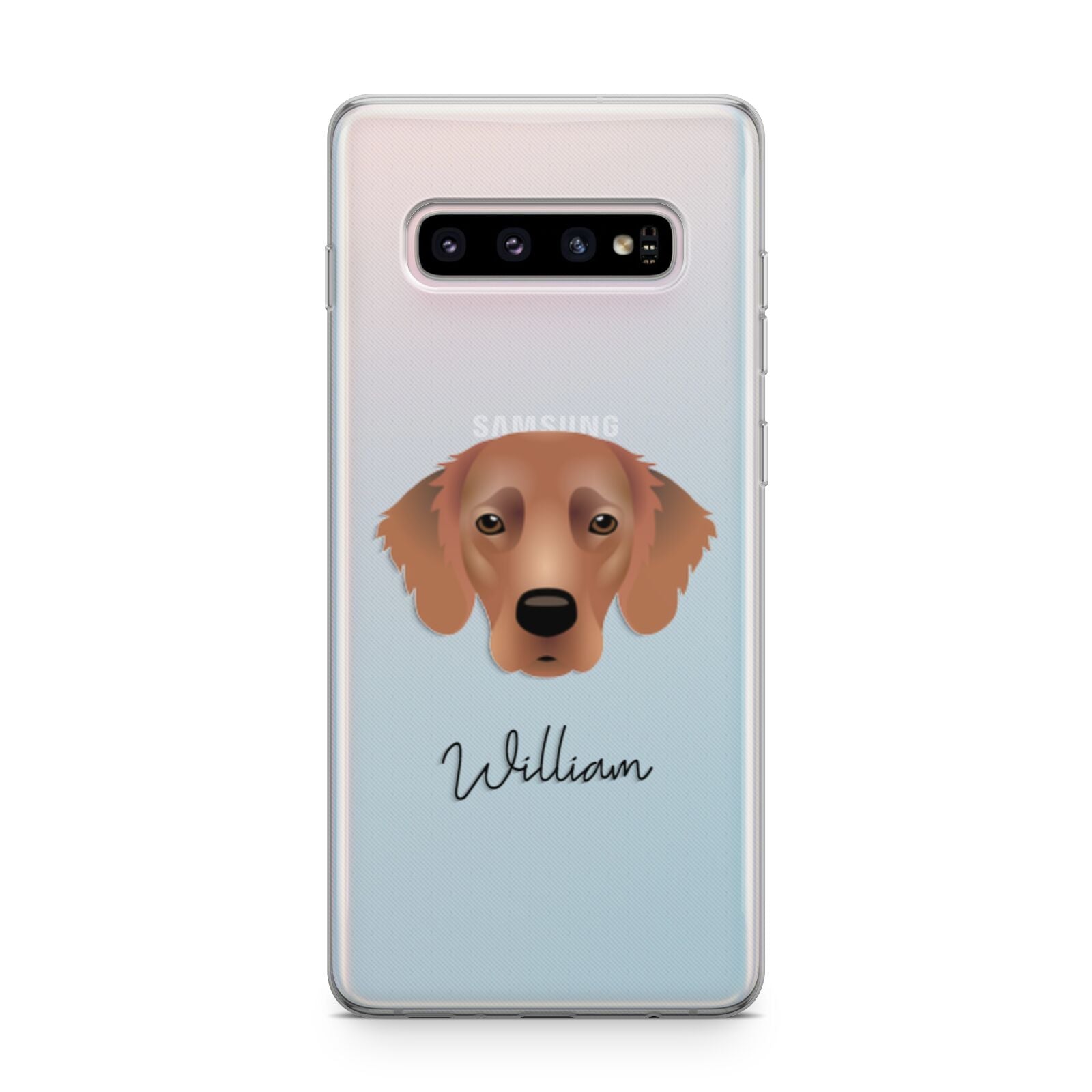 Flat Coated Retriever Personalised Samsung Galaxy S10 Plus Case