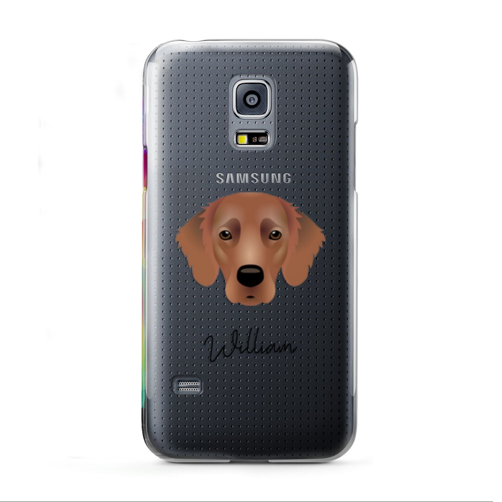 Flat Coated Retriever Personalised Samsung Galaxy S5 Mini Case