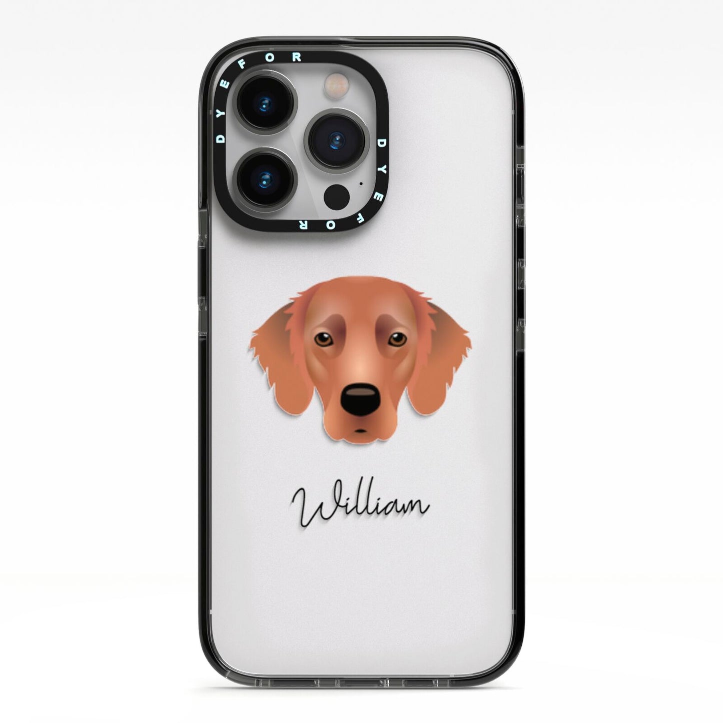 Flat Coated Retriever Personalised iPhone 13 Pro Black Impact Case on Silver phone