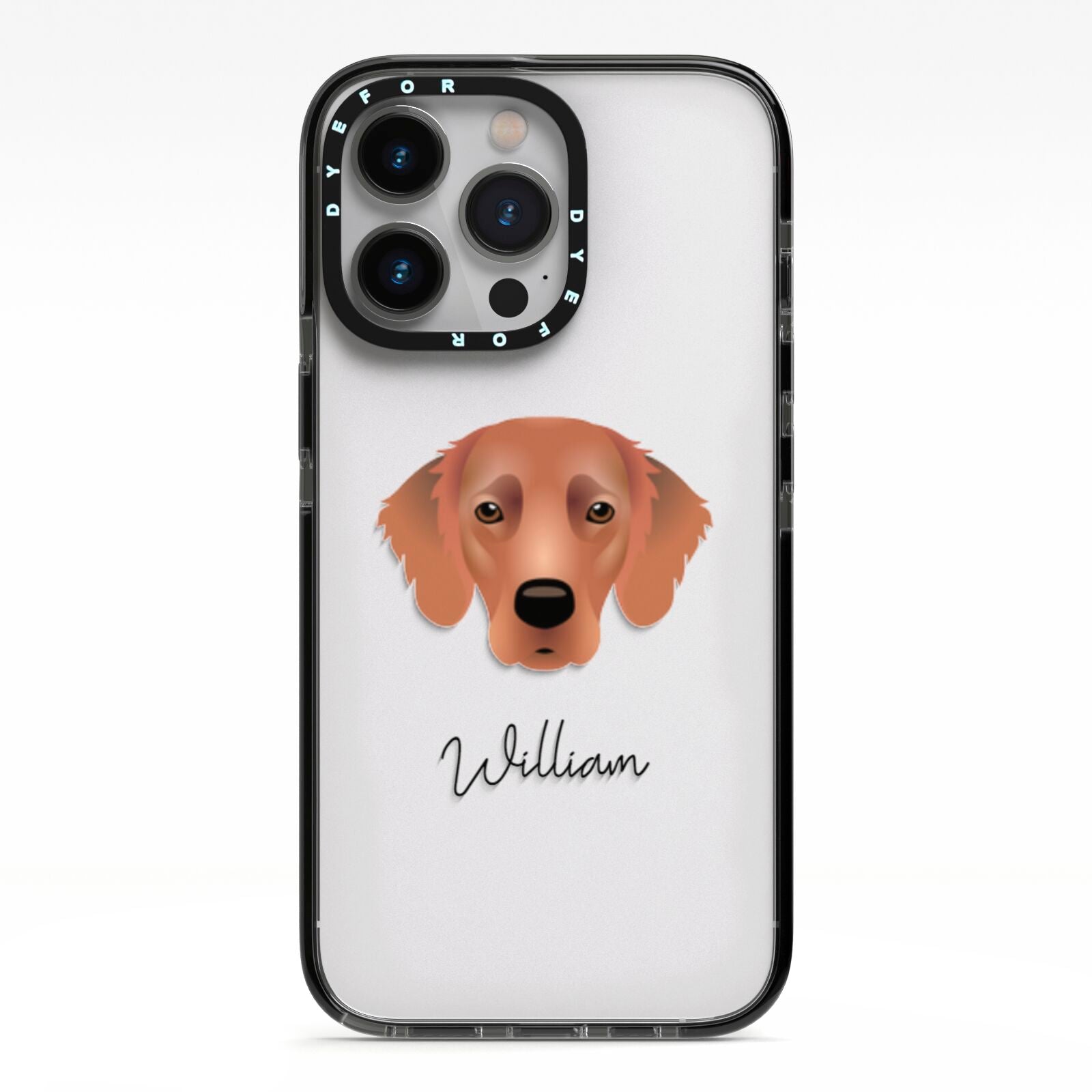 Flat Coated Retriever Personalised iPhone 13 Pro Black Impact Case on Silver phone