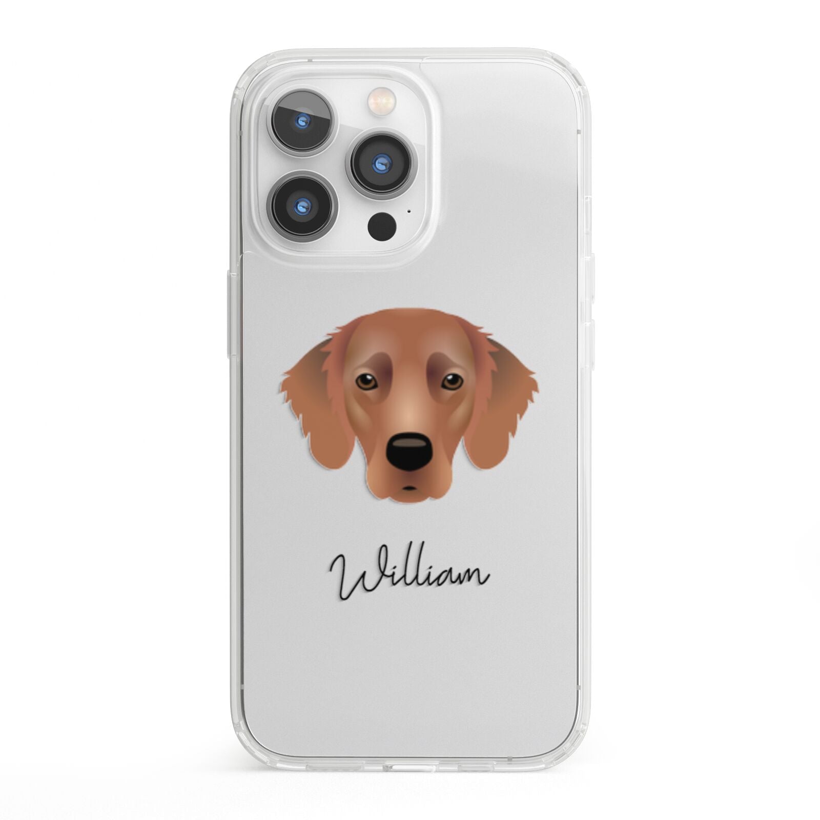 Flat Coated Retriever Personalised iPhone 13 Pro Clear Bumper Case