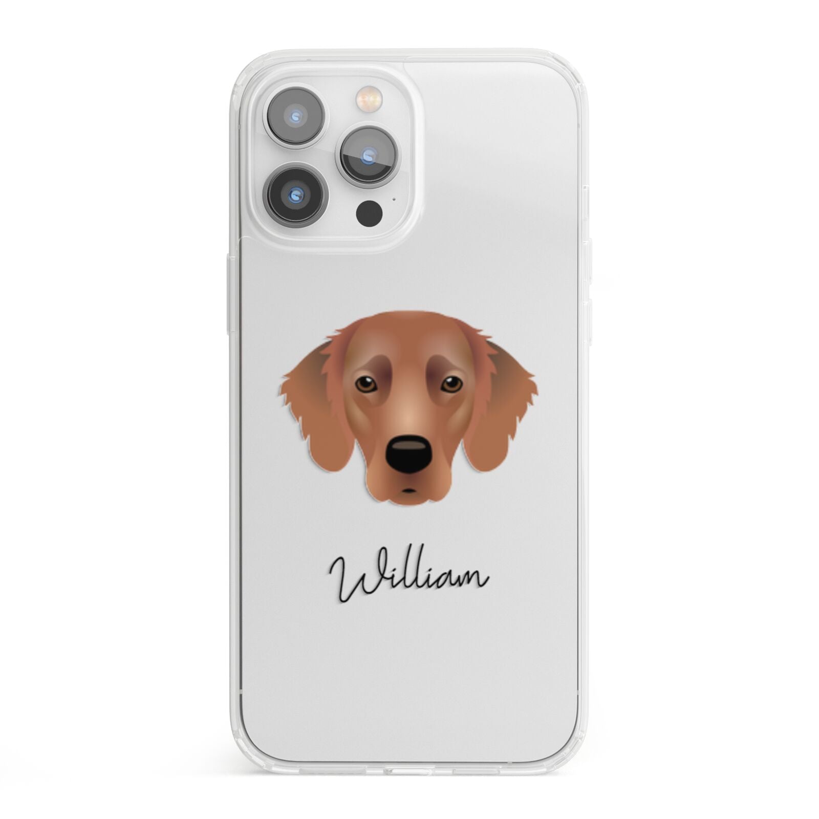 Flat Coated Retriever Personalised iPhone 13 Pro Max Clear Bumper Case
