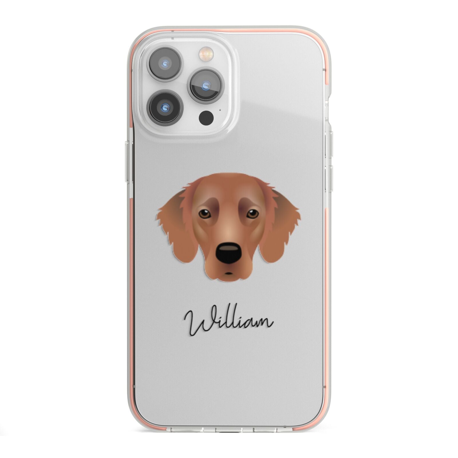Flat Coated Retriever Personalised iPhone 13 Pro Max TPU Impact Case with Pink Edges
