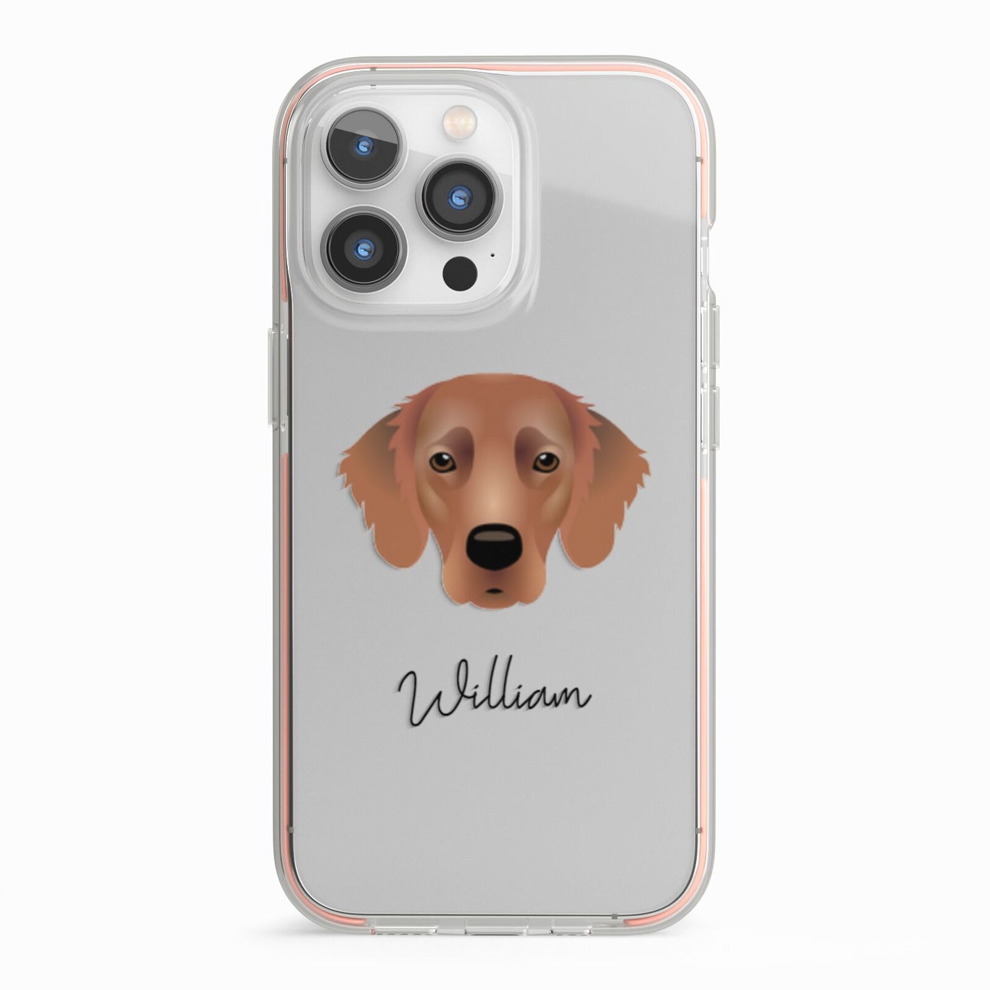 Flat Coated Retriever Personalised iPhone 13 Pro TPU Impact Case with Pink Edges