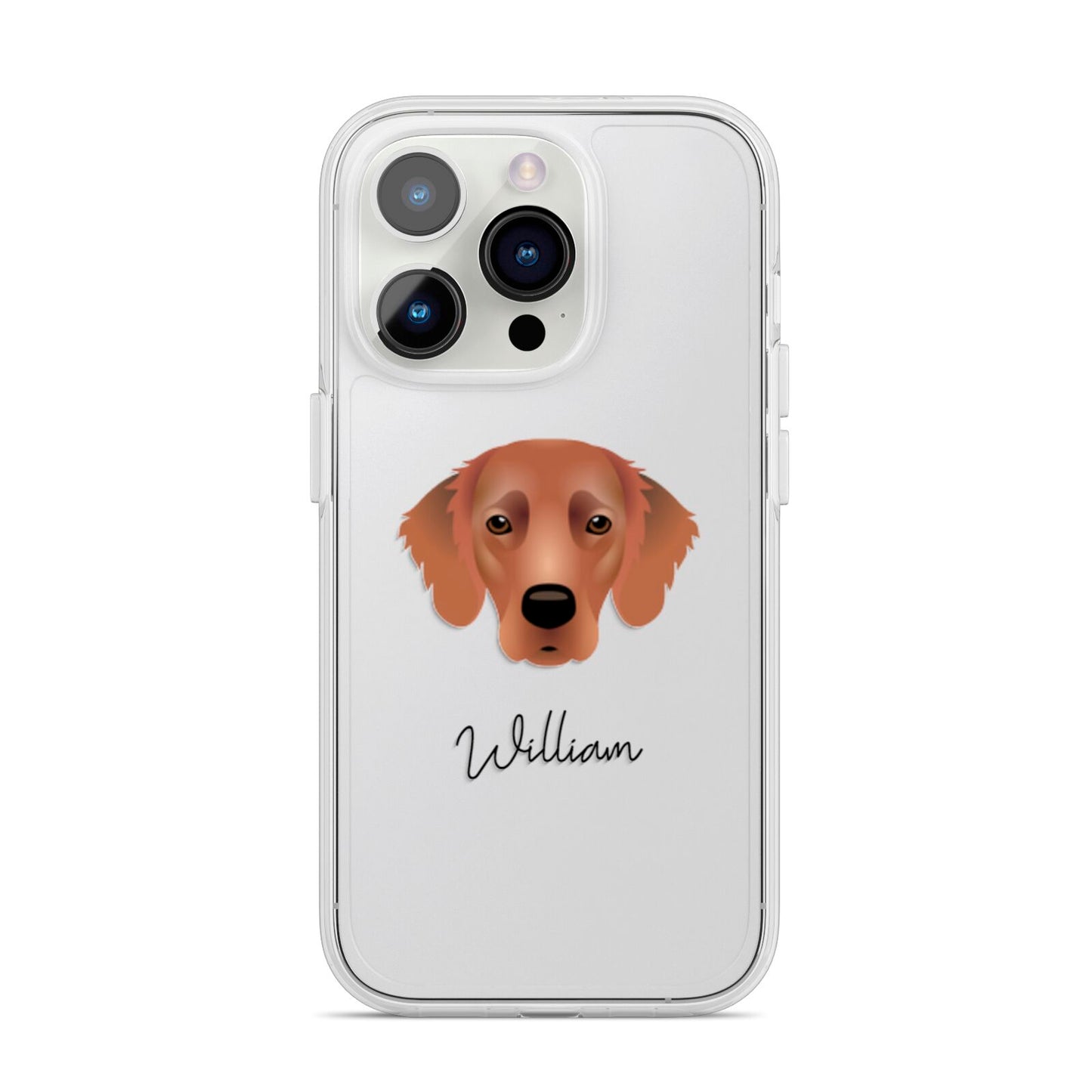 Flat Coated Retriever Personalised iPhone 14 Pro Clear Tough Case Silver