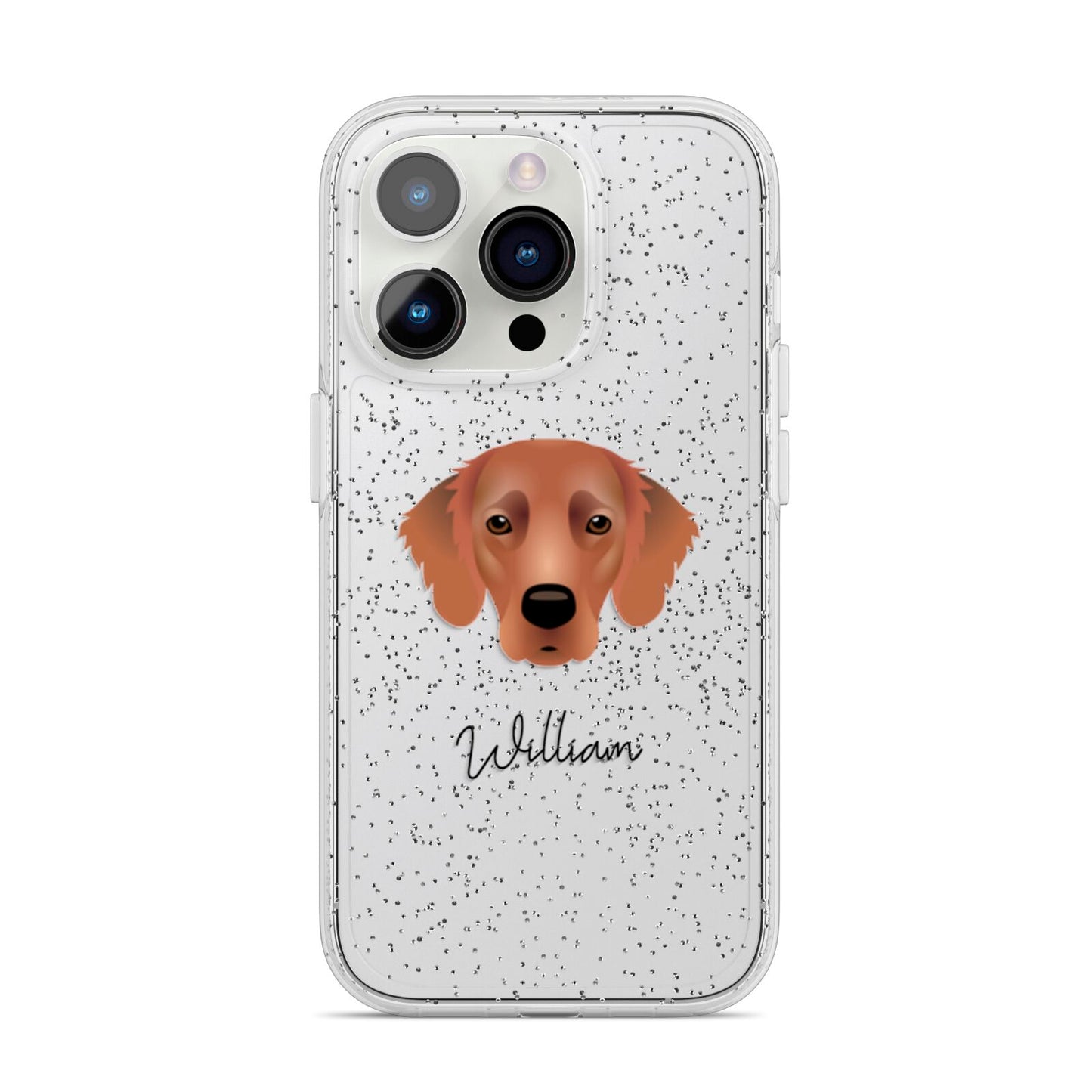 Flat Coated Retriever Personalised iPhone 14 Pro Glitter Tough Case Silver