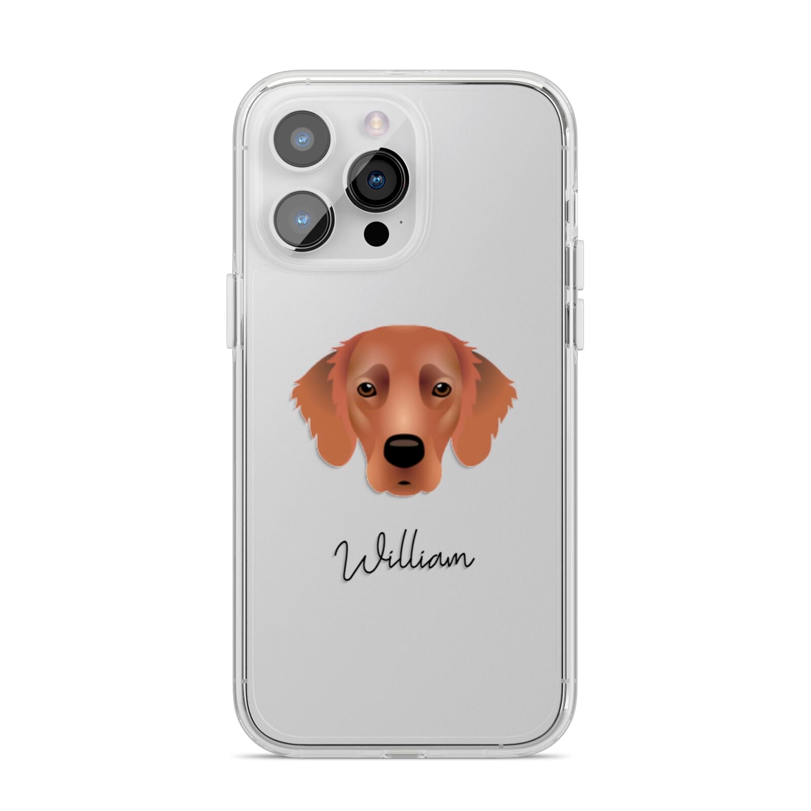 Flat Coated Retriever Personalised iPhone 14 Pro Max Clear Tough Case Silver