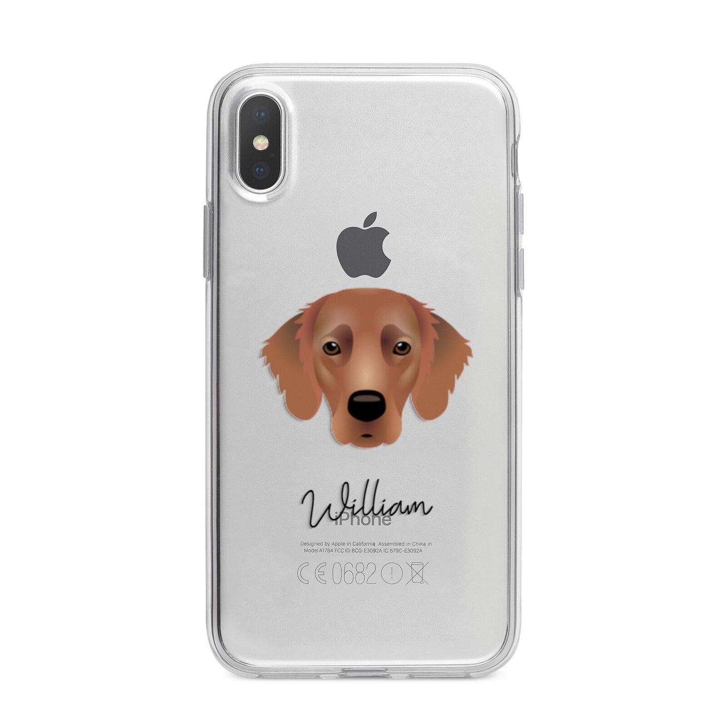 Flat Coated Retriever Personalised iPhone X Bumper Case on Silver iPhone Alternative Image 1