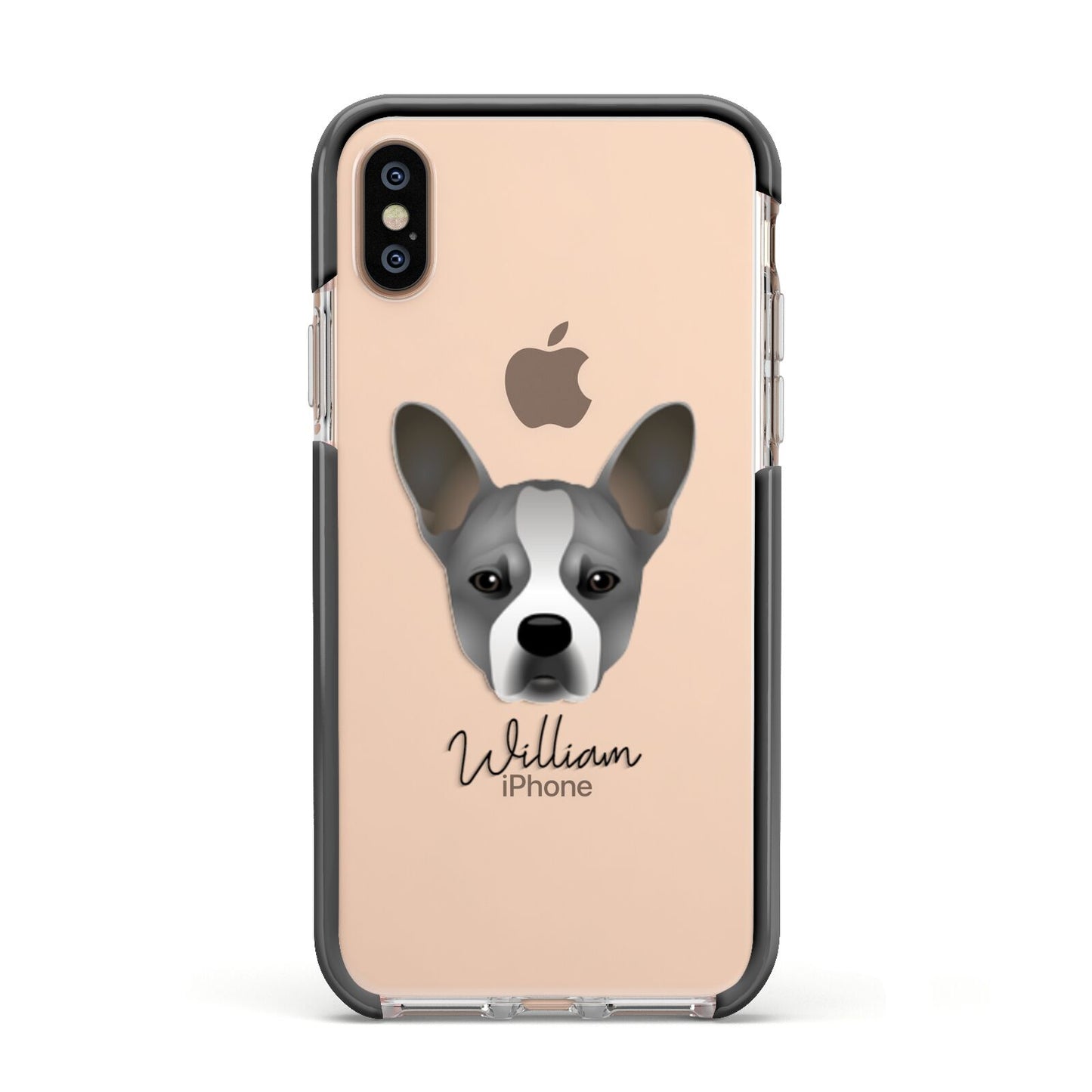 French Bull Jack Personalised Apple iPhone Xs Impact Case Black Edge on Gold Phone