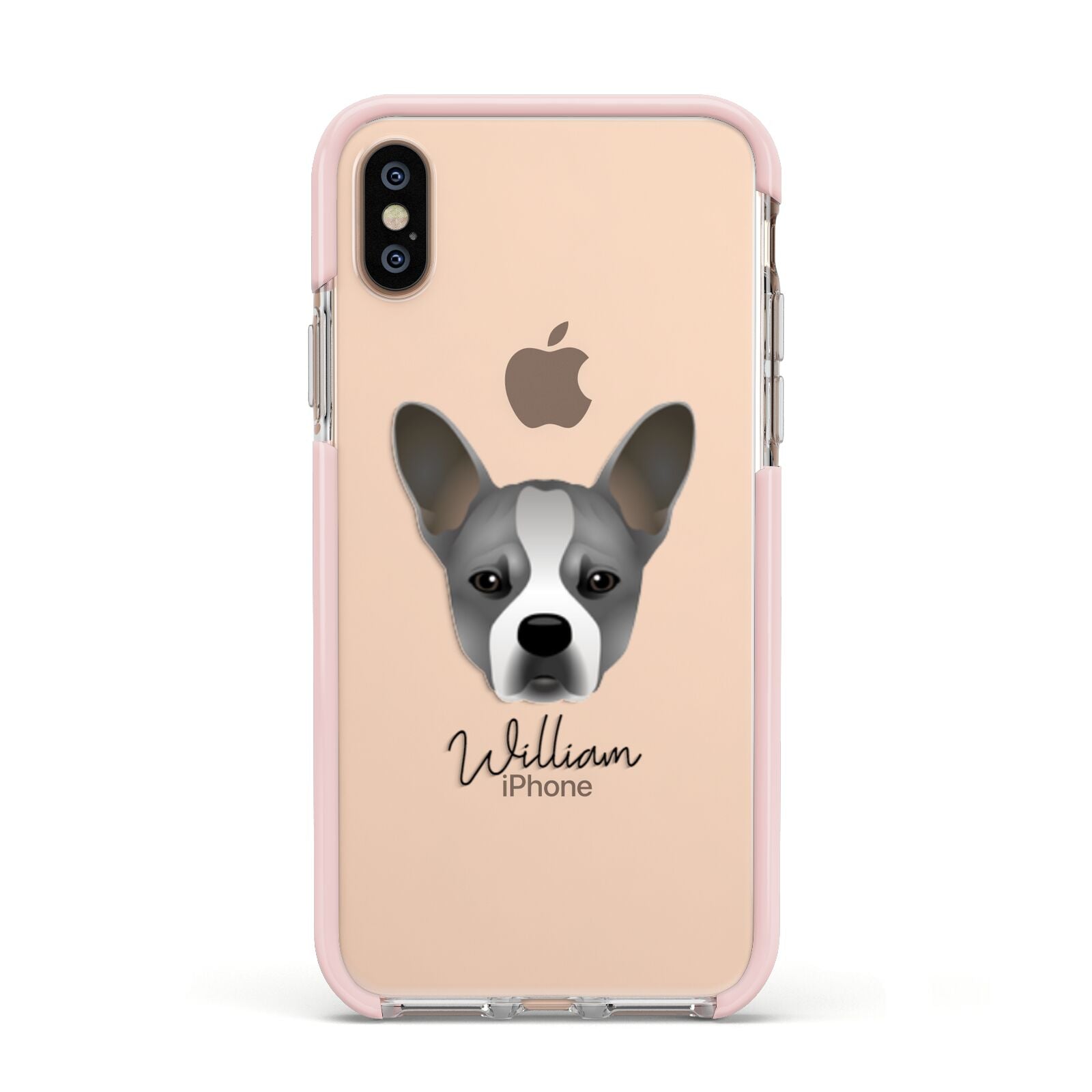 French Bull Jack Personalised Apple iPhone Xs Impact Case Pink Edge on Gold Phone