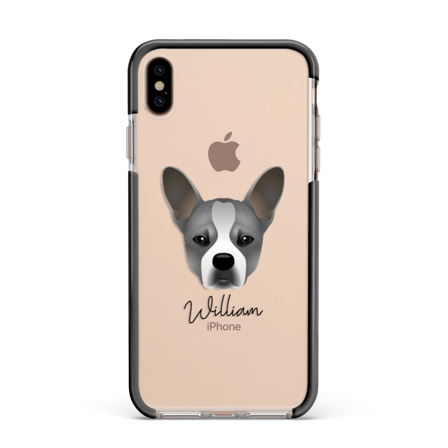 French Bull Jack Personalised Apple iPhone Xs Max Impact Case Black Edge on Gold Phone