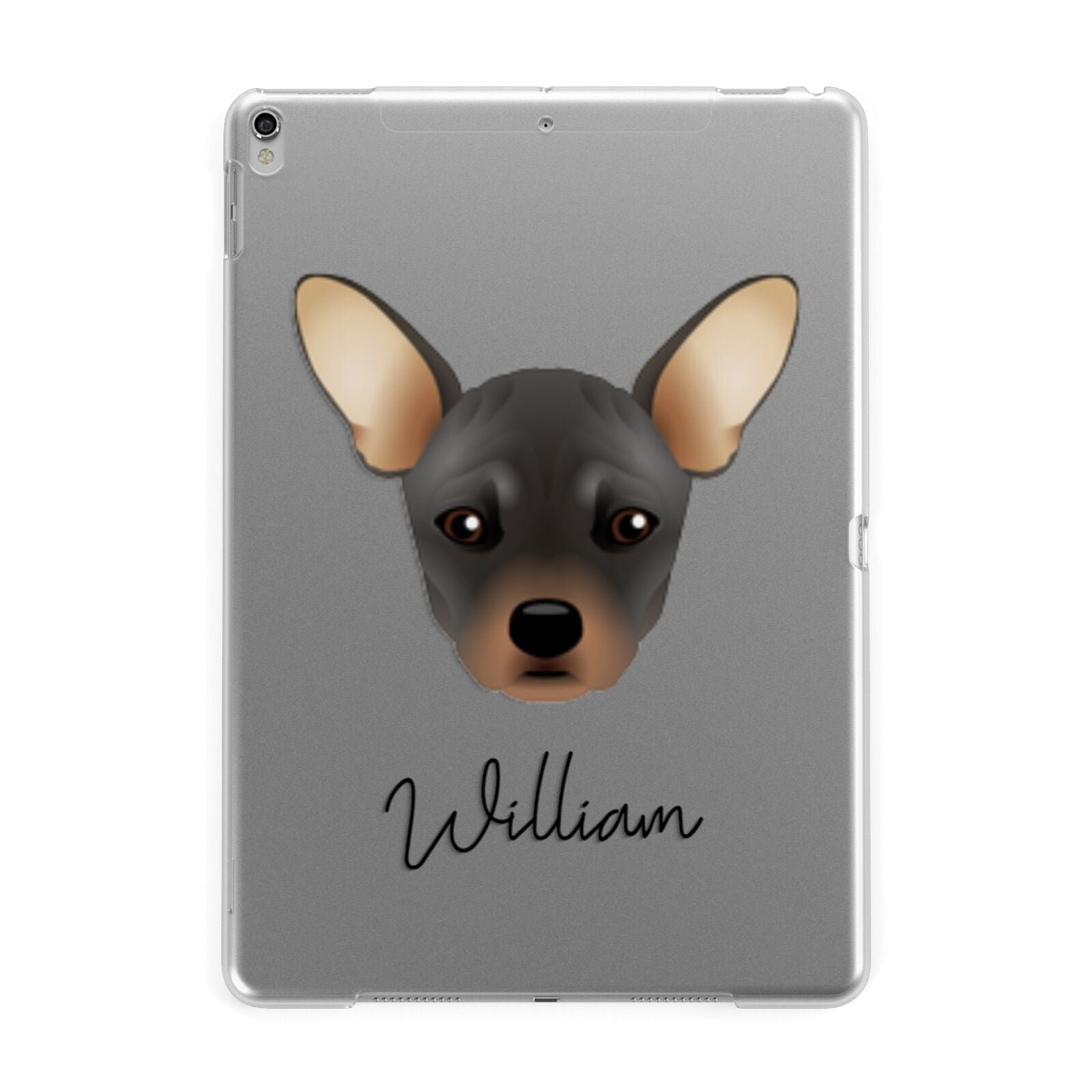 French Pin Personalised Apple iPad Silver Case