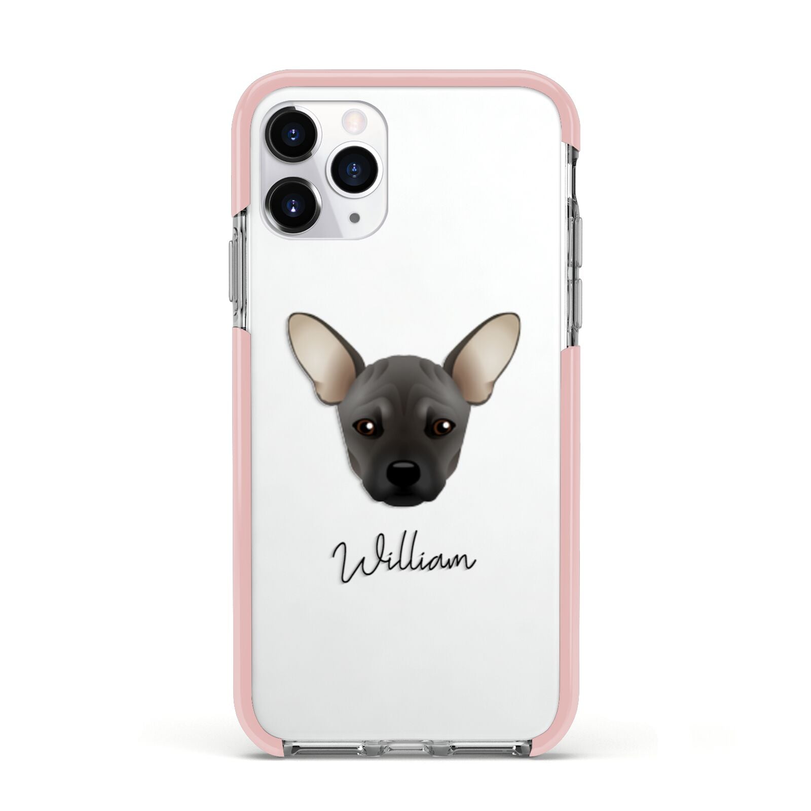 French Pin Personalised Apple iPhone 11 Pro in Silver with Pink Impact Case