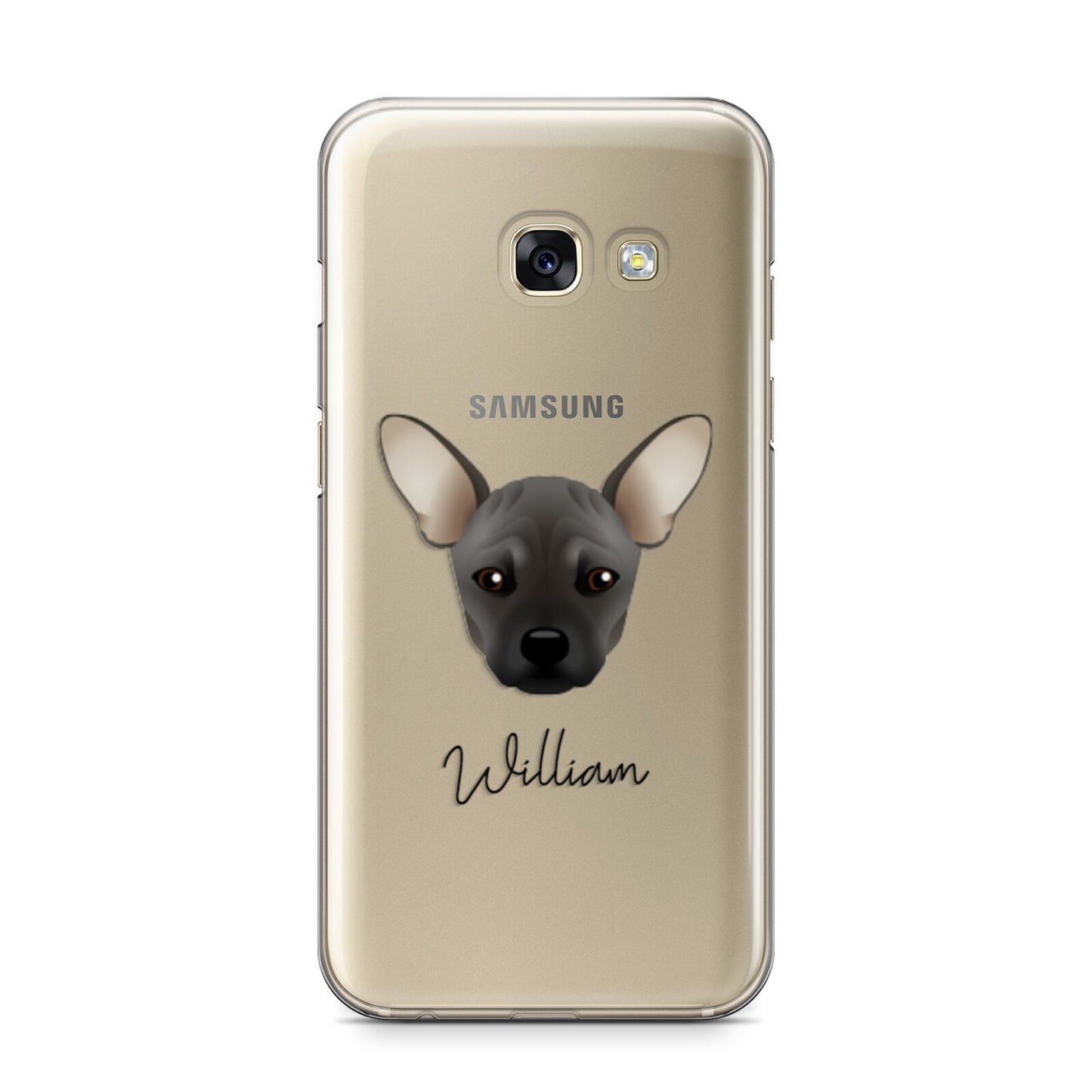 French Pin Personalised Samsung Galaxy A3 2017 Case on gold phone