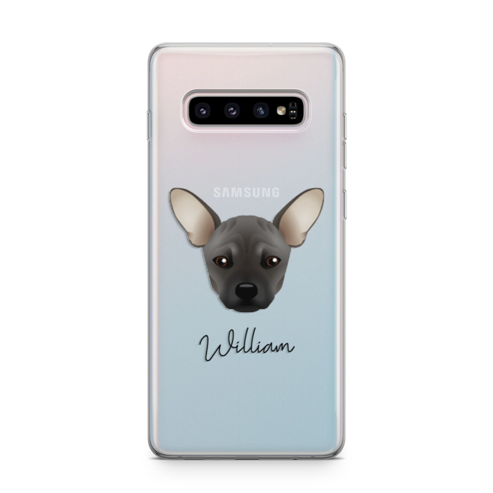 French Pin Personalised Samsung Galaxy S10 Plus Case