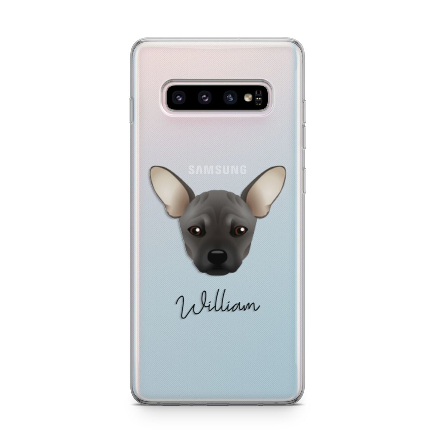 French Pin Personalised Samsung Galaxy S10 Plus Case