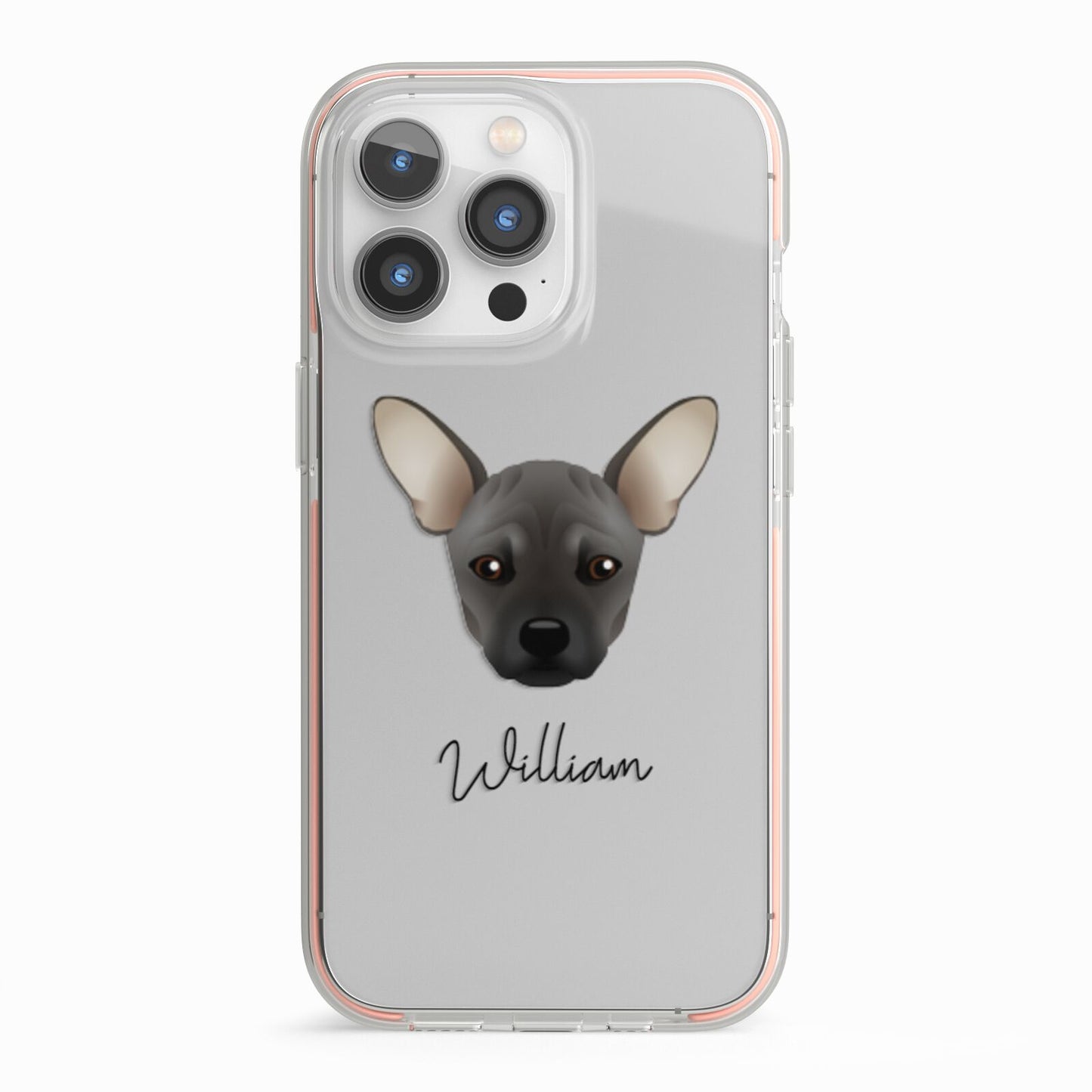 French Pin Personalised iPhone 13 Pro TPU Impact Case with Pink Edges