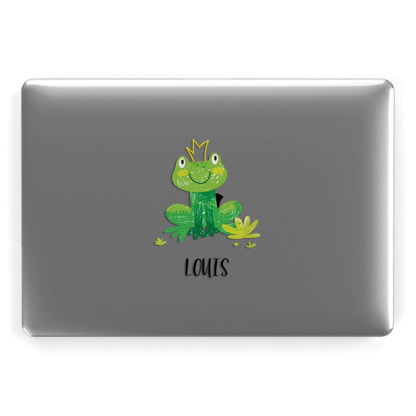 Frog Prince Custom Apple MacBook Case