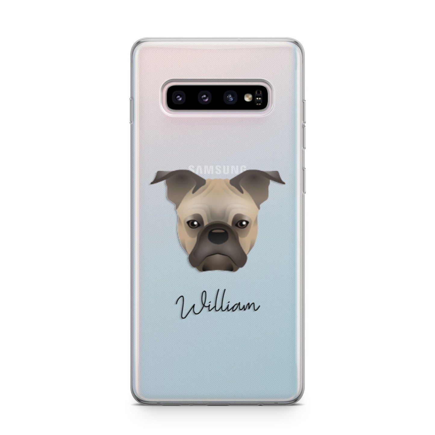 Frug Personalised Samsung Galaxy S10 Plus Case