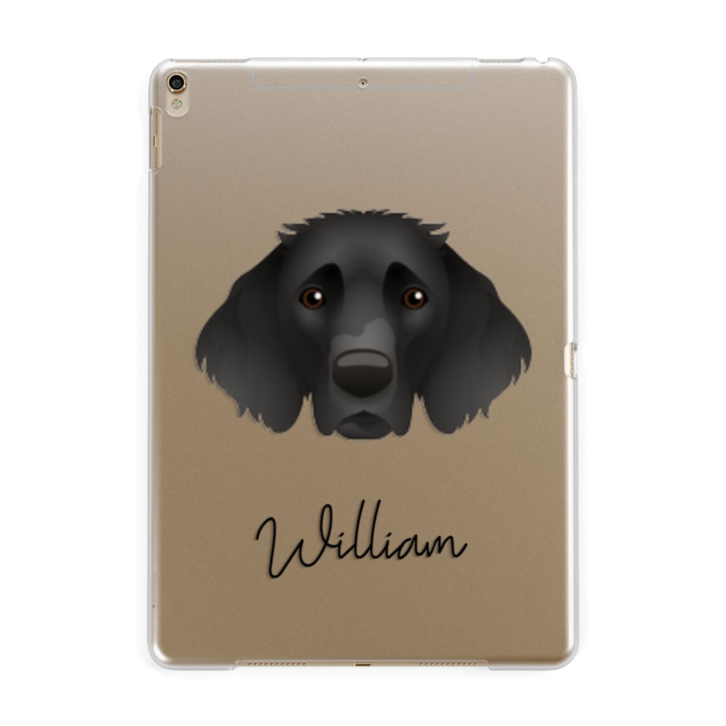 German Longhaired Pointer Personalised Apple iPad Gold Case