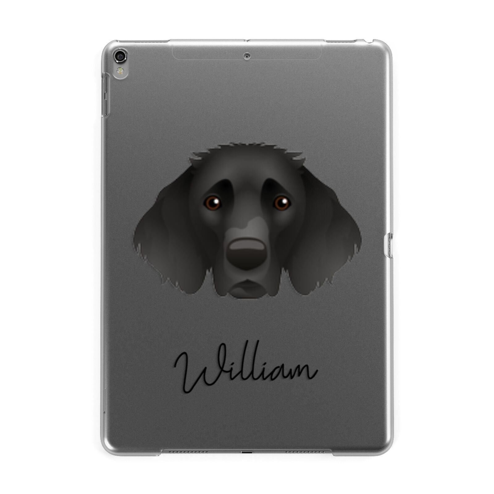 German Longhaired Pointer Personalised Apple iPad Grey Case